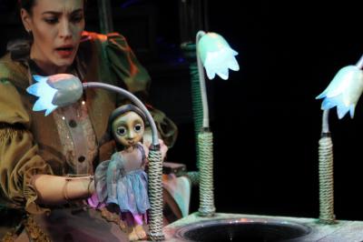 Рязанцев приглашают взглянуть на «Дюймовочку»